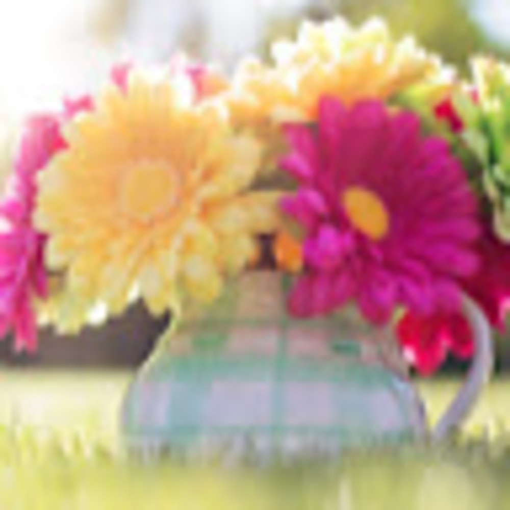 Meet your Posher, Minerva